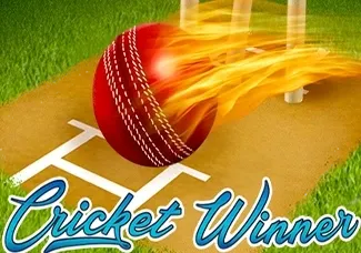 Cricket Winner screenshot
