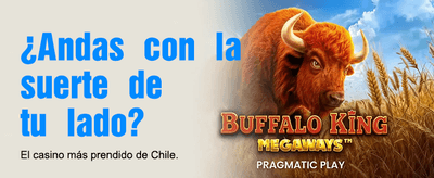 Tus mejores apuestas aquí